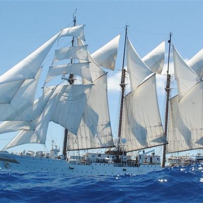 可爱宝贝照顾猫咪